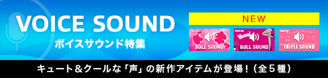 サウンドアイテム特集