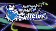 Bullkins